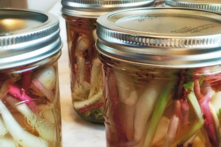 close-up of jars filled with ramps in vinegar