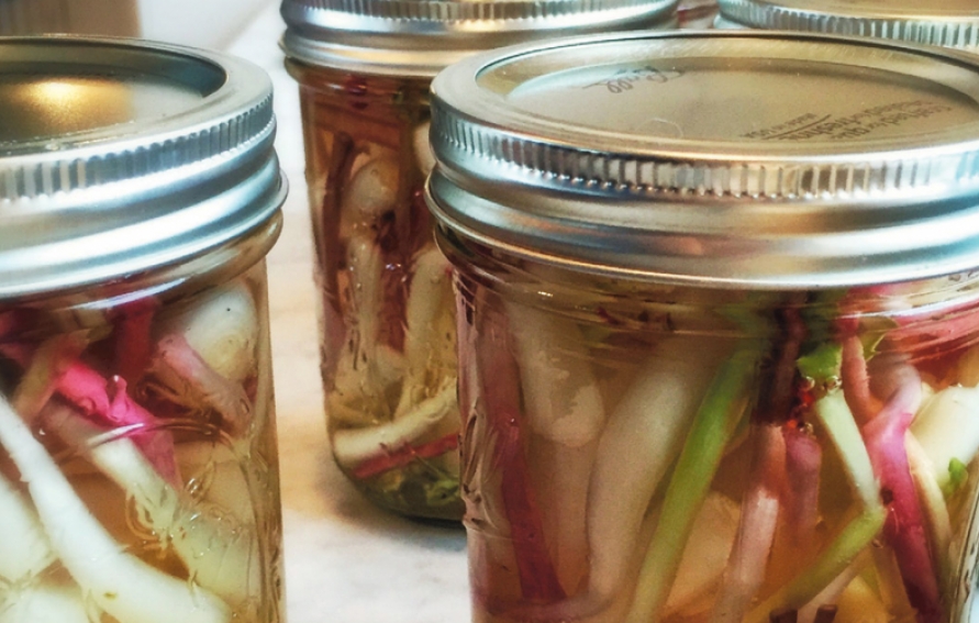 close-up of jars filled with ramps in vinegar