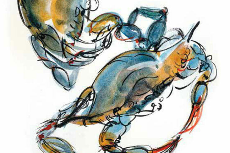 a watercolor rendering of blue crabs