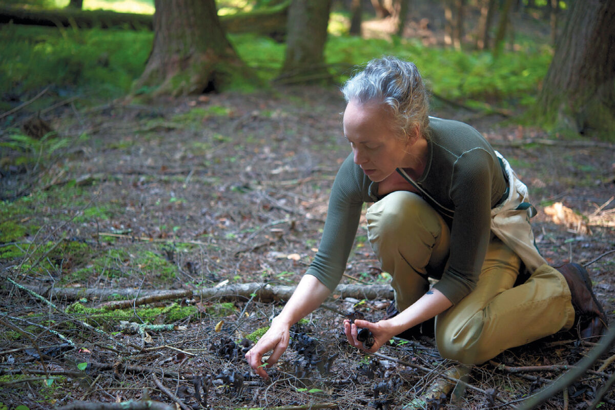 laura silverman kneels on thr ground foraging for mushrooms