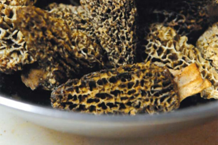 dried morel mushrooms in metal bowl